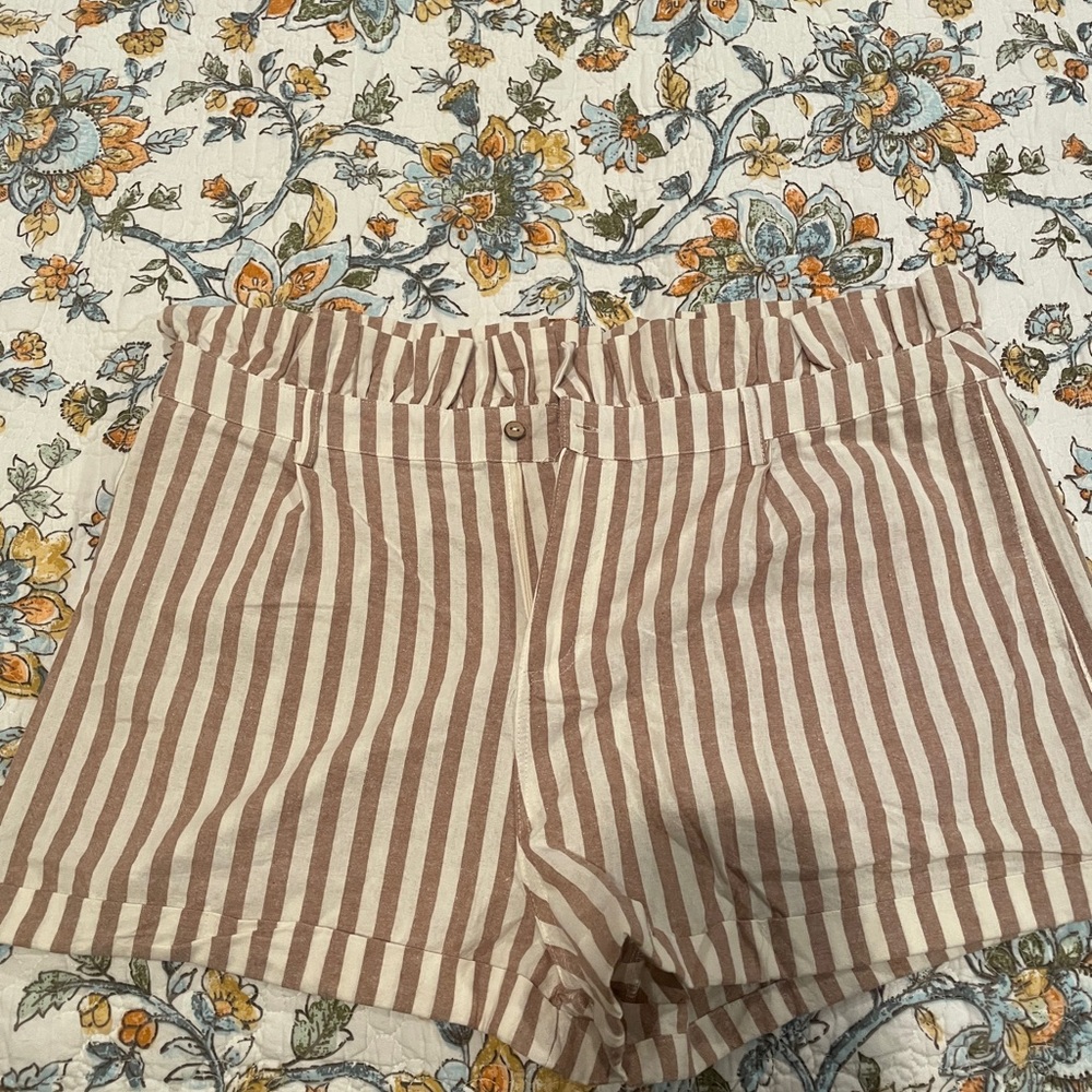 Plus size shorts